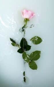 Rose Water for hair