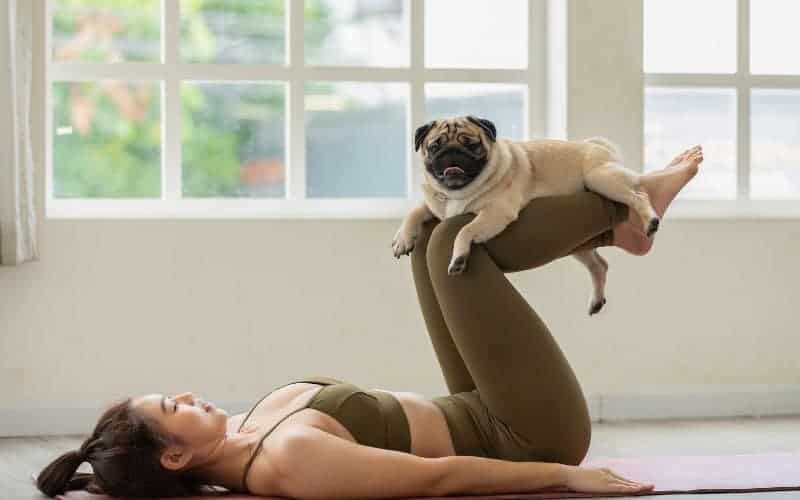 What Is Puppy Yoga? A Detailed Explanation 1 woman doing puppy yoga