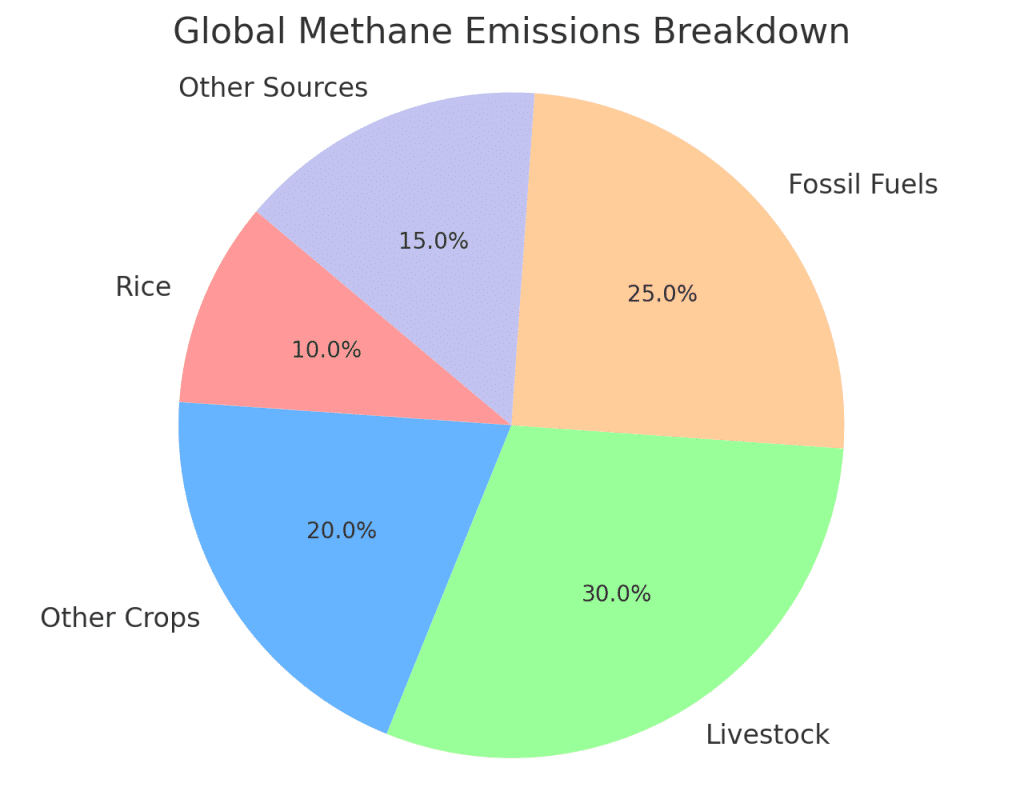 global methane emissions