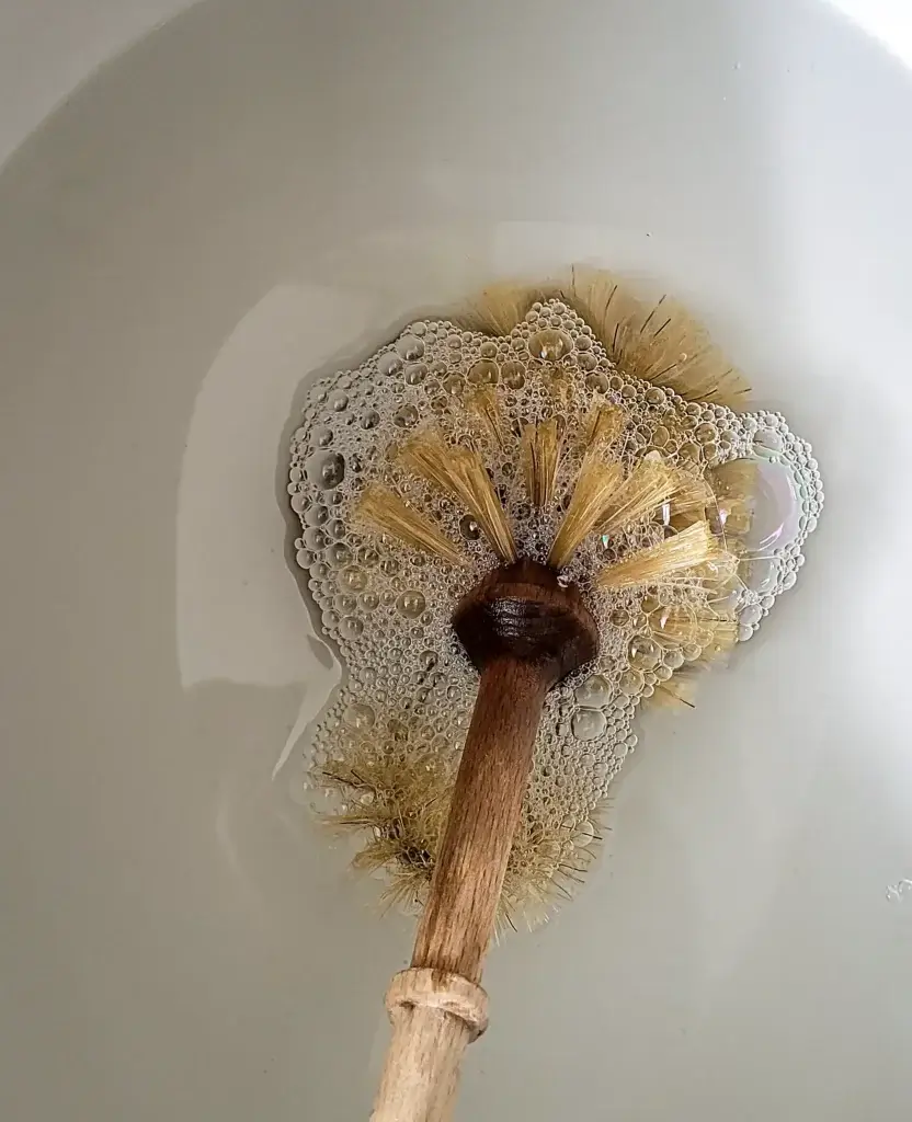 How to Keep Your Toilet Brush Clean 4 cleaning toilet brush with signs of wear and mildew dipped in water