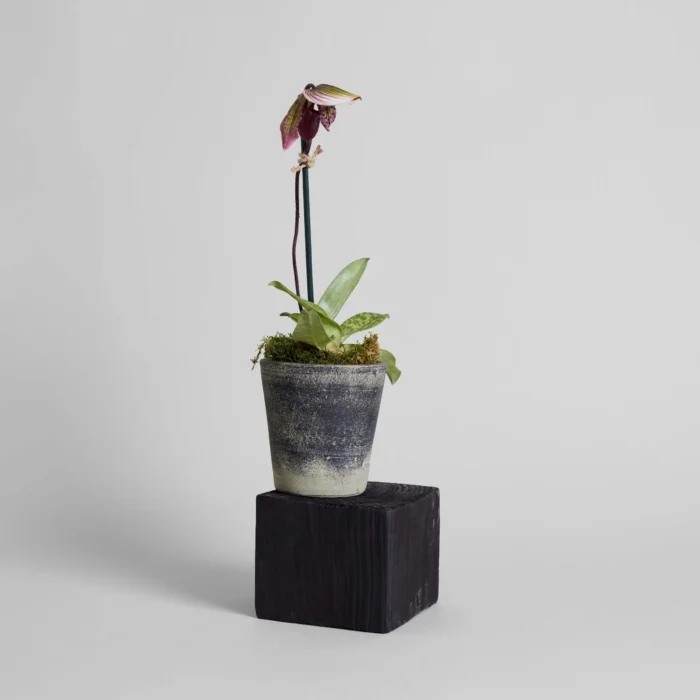grey ceramic planter with greenery on a plant stand