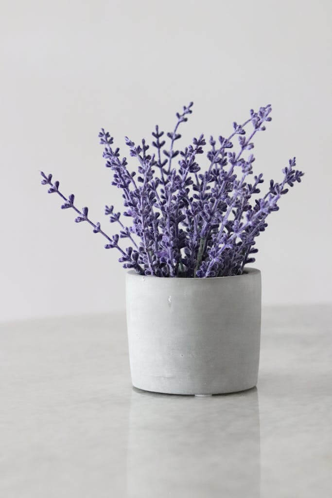 Natural Ways to Make Your House Smell Good Without Candles: A Comprehensive Guide 4 Lavender