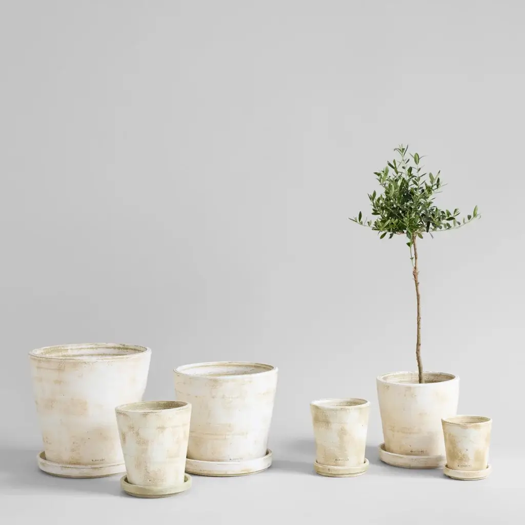 Hand-Thrown Terra Cotta Planter: Rustic White Patina Finish 5 a group of terra cotta planters