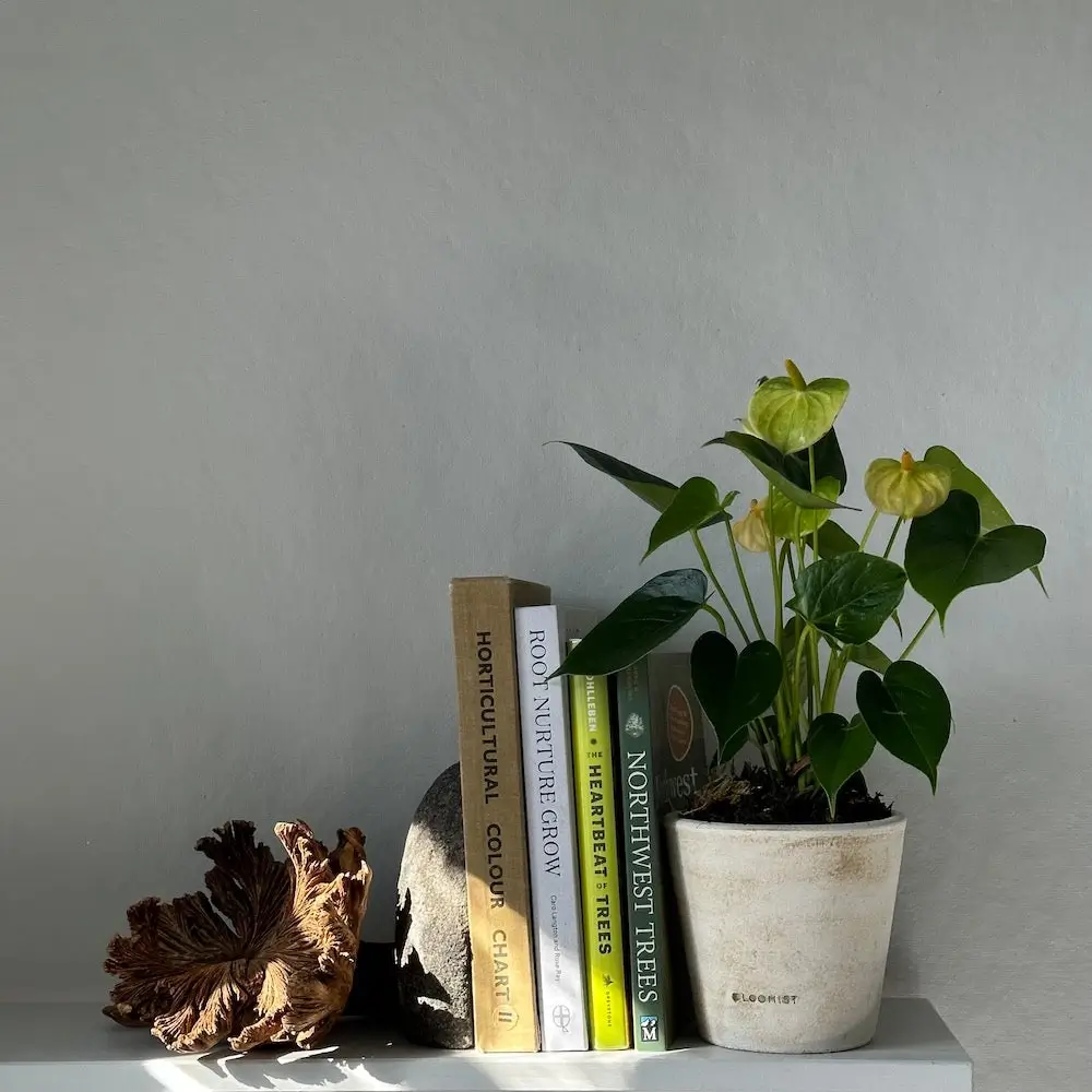 white patina terracotta planter