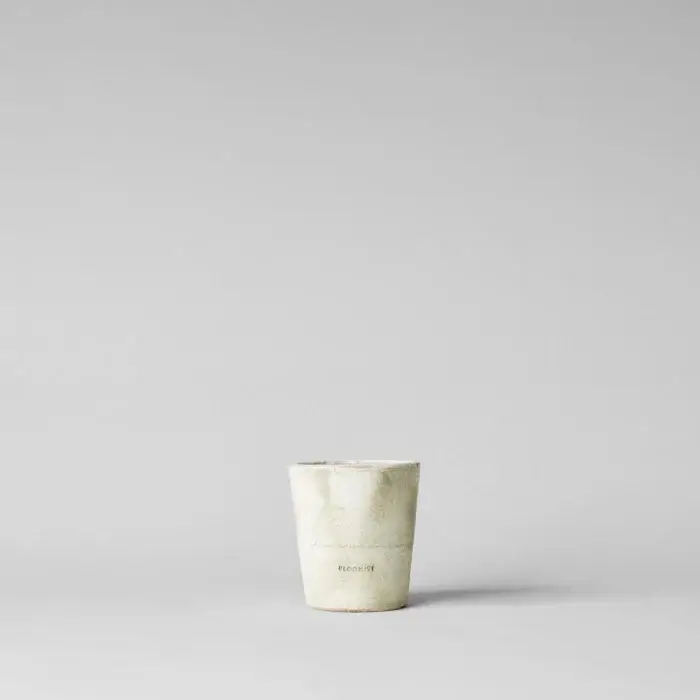 white terra cotta planter