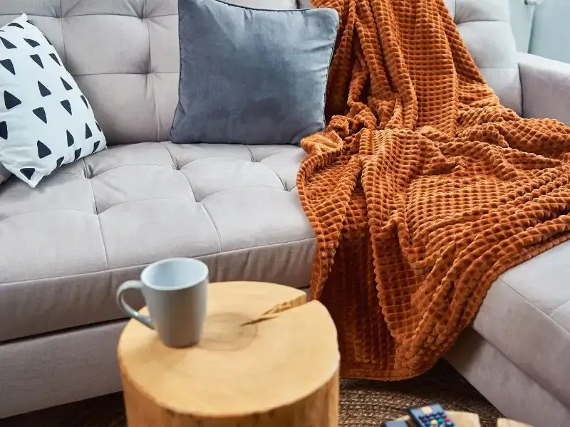 9 Effortless Budget-Friendly Ways to Switch Your Decor From Summer to Fall in 2024 2 Ways to Switch Your Decor From Summer to Fall. light grey sofa and orange throw blanket
